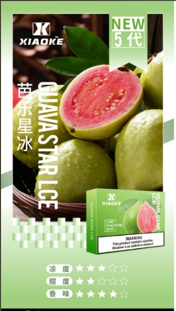 XIAOKE梟客五代煙彈-芭樂口味|通用悅刻RELX 4/5代主機口味